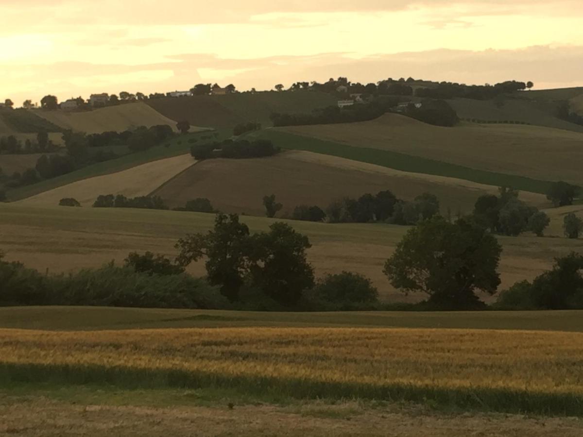 Il Giardino Nella Valle Belvedere Ostrense Bagian luar foto