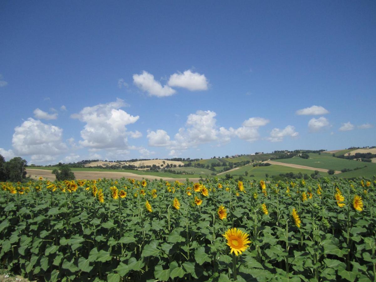 Il Giardino Nella Valle Belvedere Ostrense Bagian luar foto