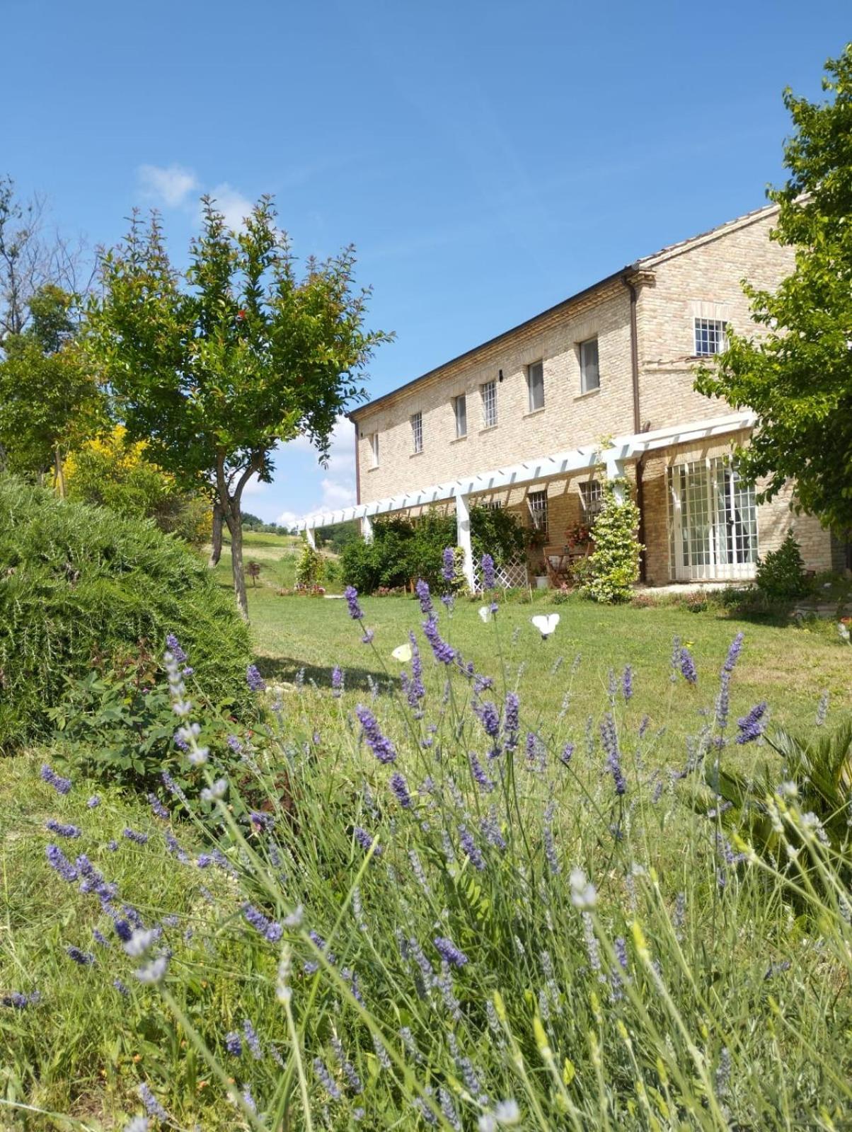 Il Giardino Nella Valle Belvedere Ostrense Ruang foto