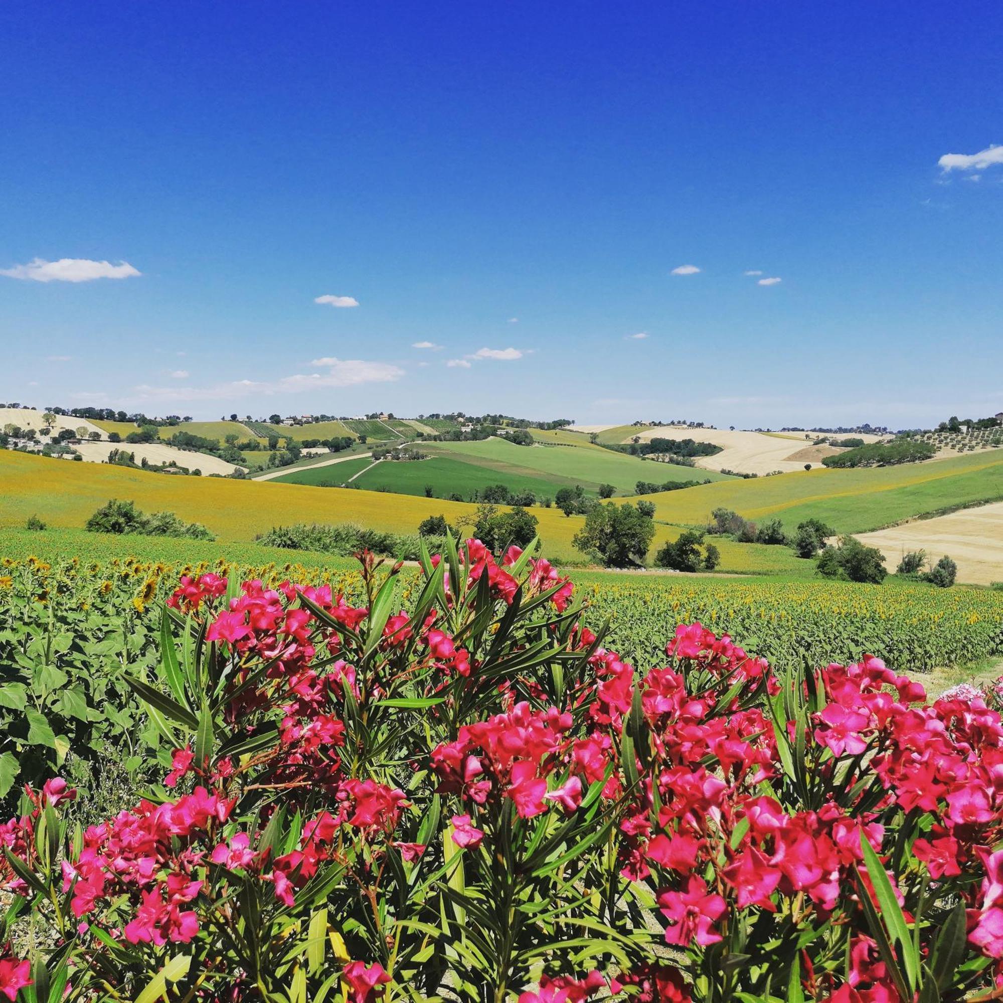 Il Giardino Nella Valle Belvedere Ostrense Bagian luar foto