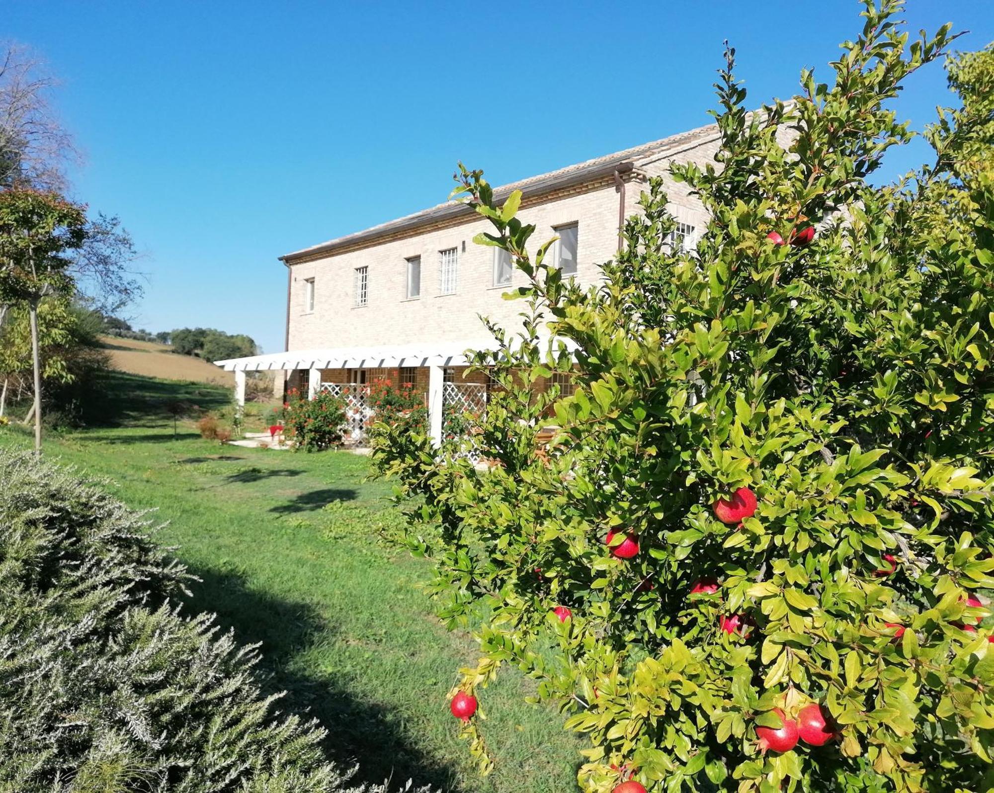 Il Giardino Nella Valle Belvedere Ostrense Bagian luar foto