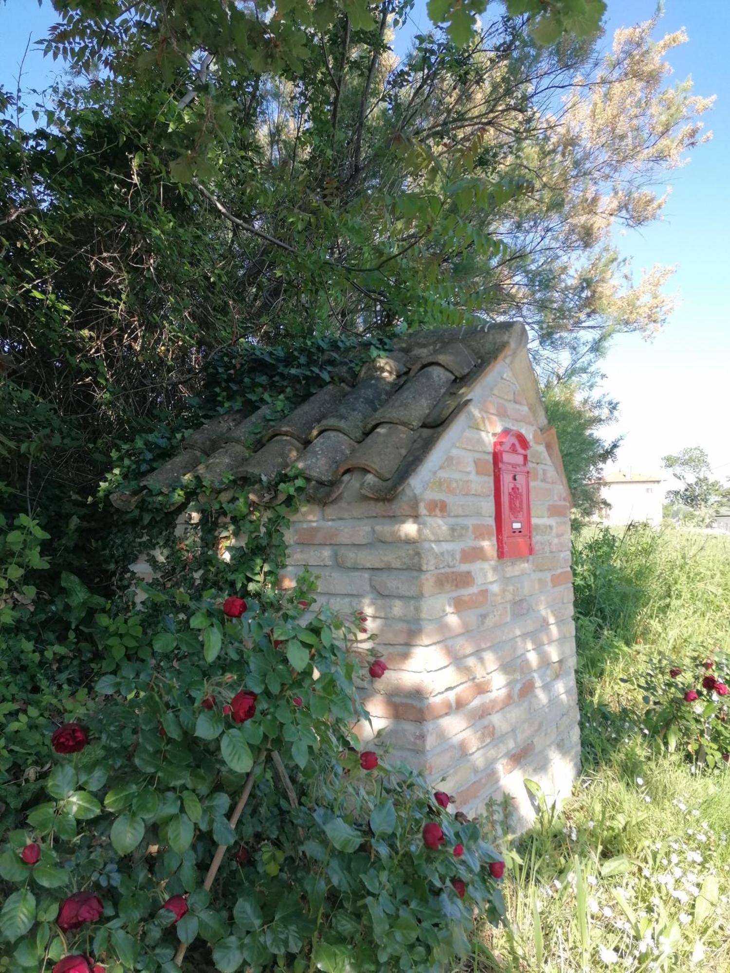 Il Giardino Nella Valle Belvedere Ostrense Bagian luar foto