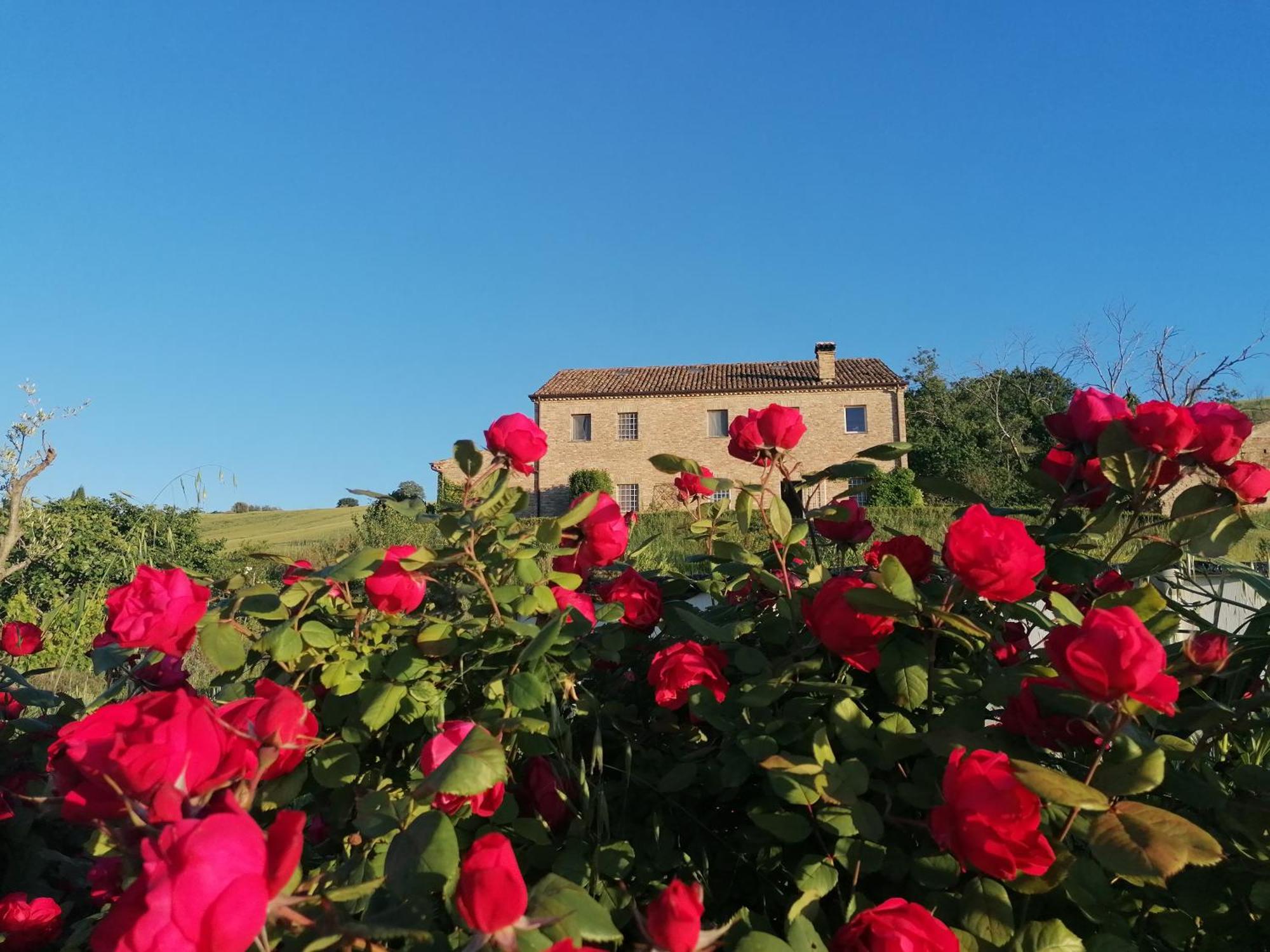 Il Giardino Nella Valle Belvedere Ostrense Bagian luar foto