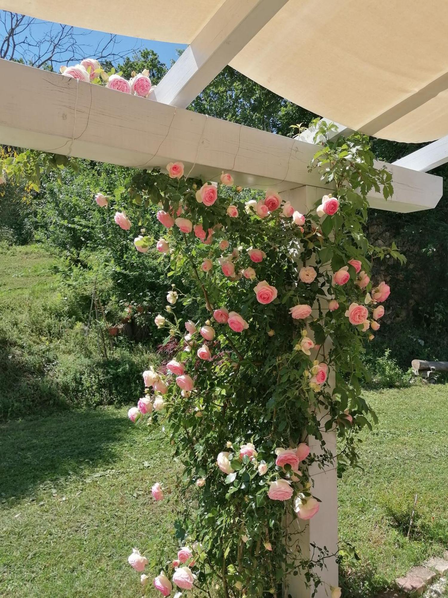 Il Giardino Nella Valle Belvedere Ostrense Bagian luar foto